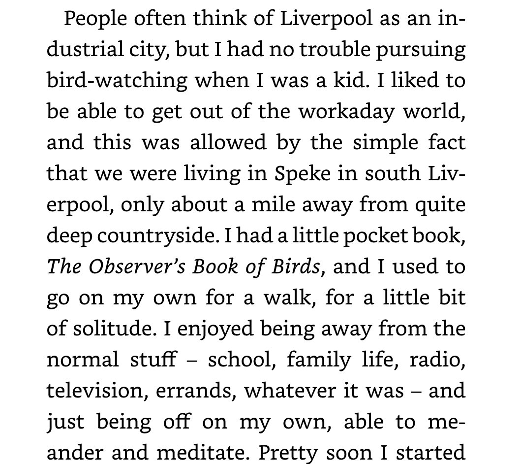 mcsky 🎲🐑 tweet media