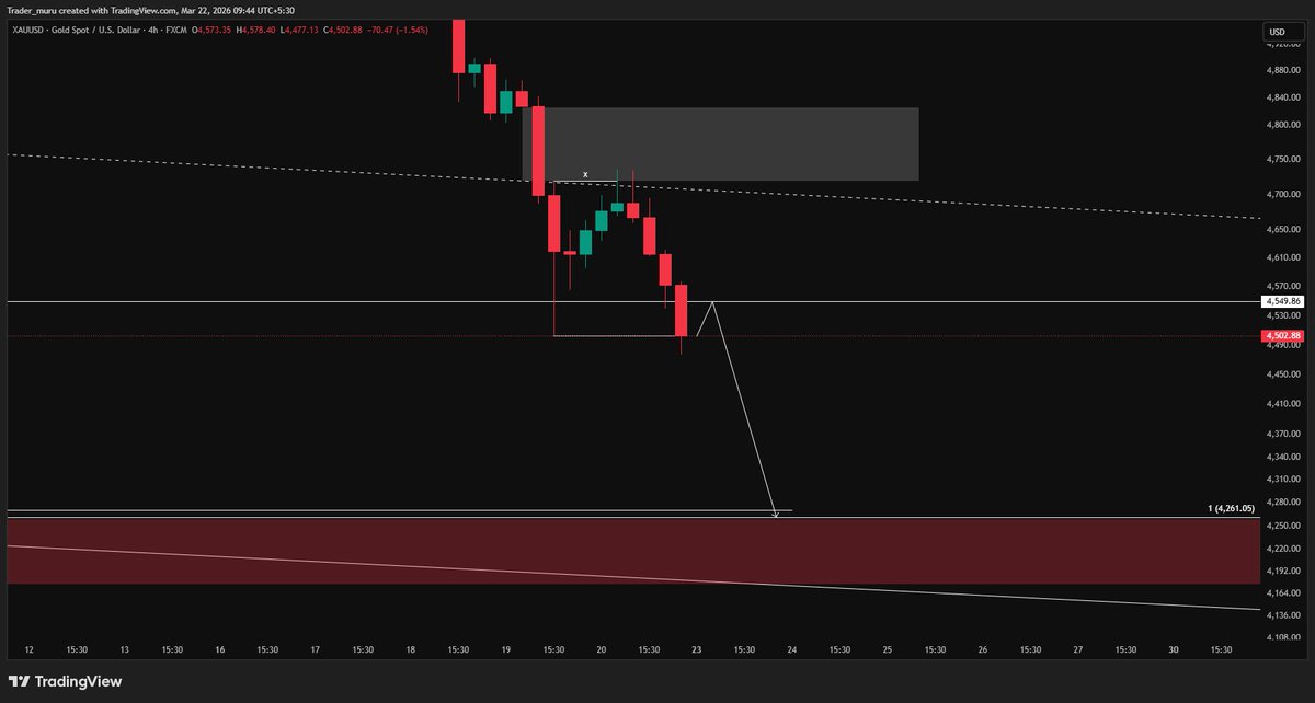 Trader Muru tweet media