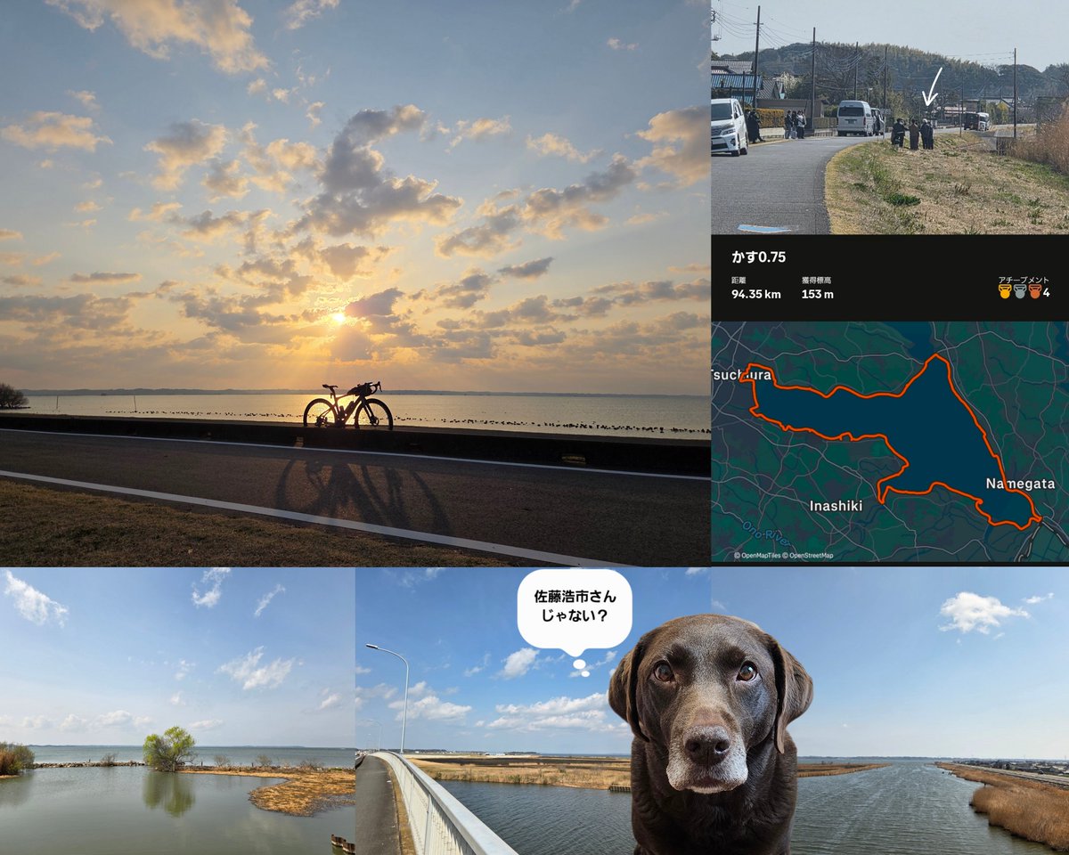 masaccio︎︎︎︎🪶 tweet media