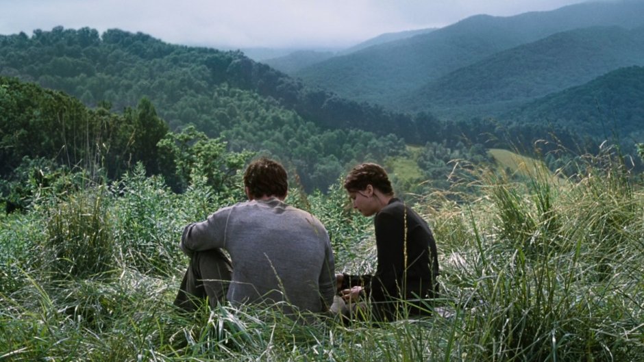 CINEMA 505 tweet media