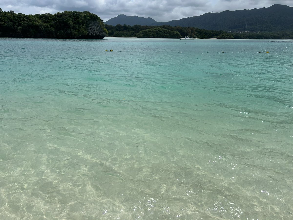 反省まるちゃん tweet media