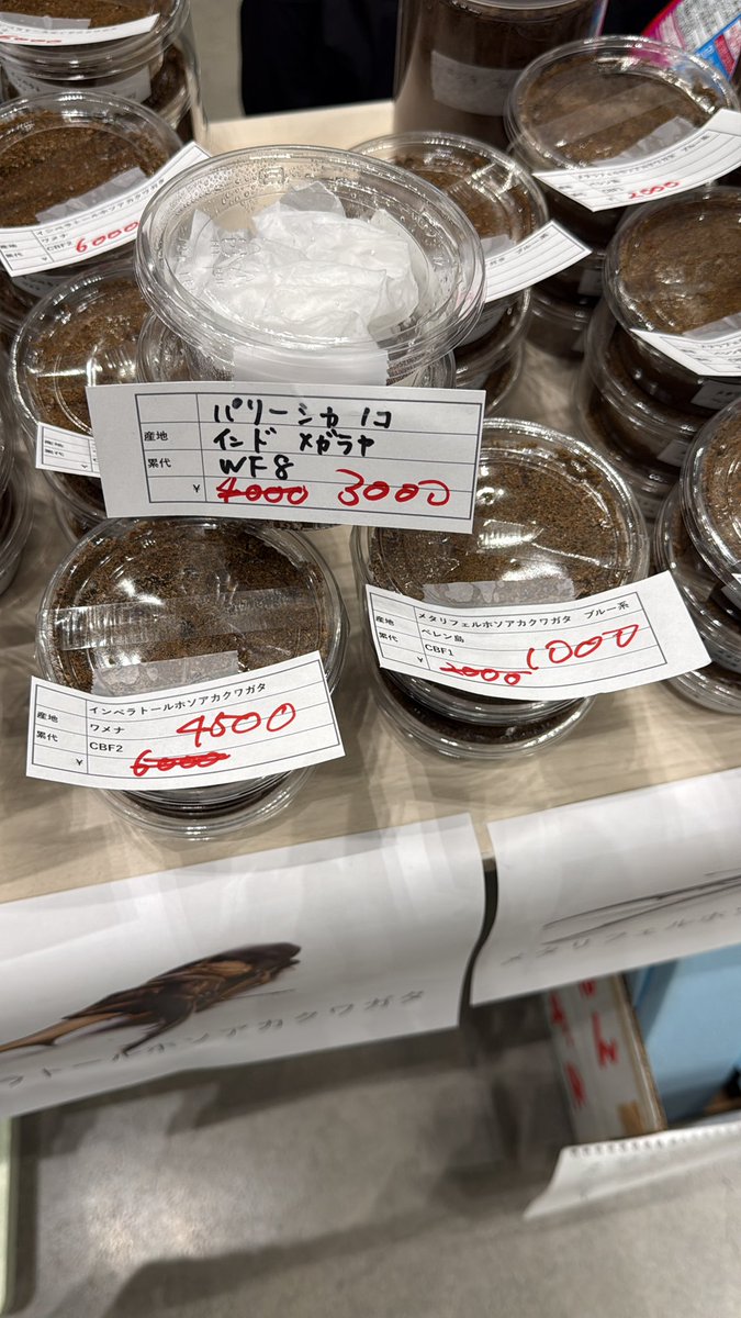 ユウニチ tweet media