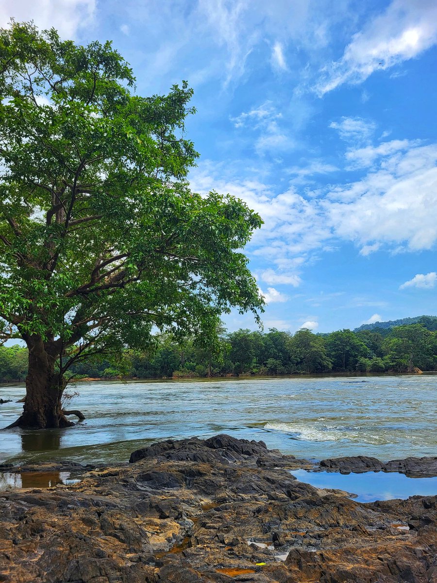 ನಿಶ್ಚಿತಾ🌱🐾 tweet media