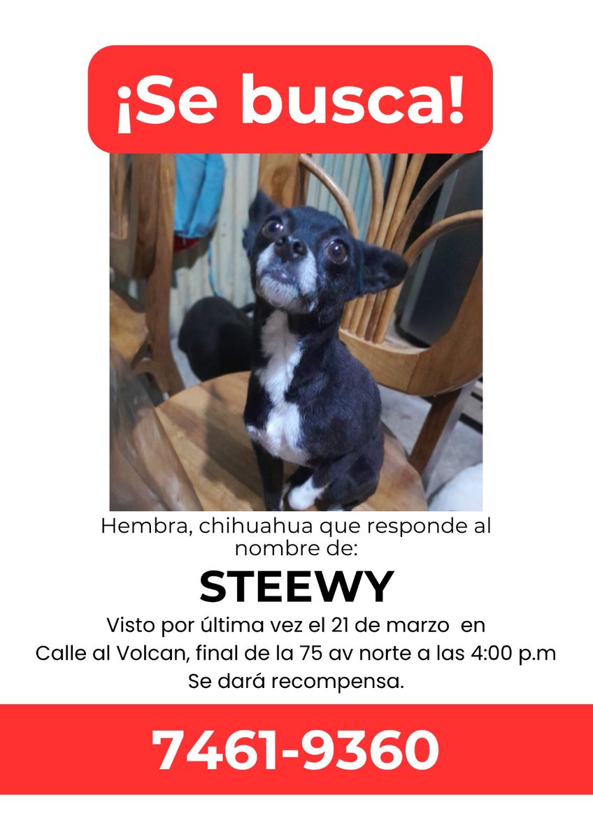 DameTuPatasv's tweet photo. se busca ‼️ ayuda https://t.co/X7B04JnOxU