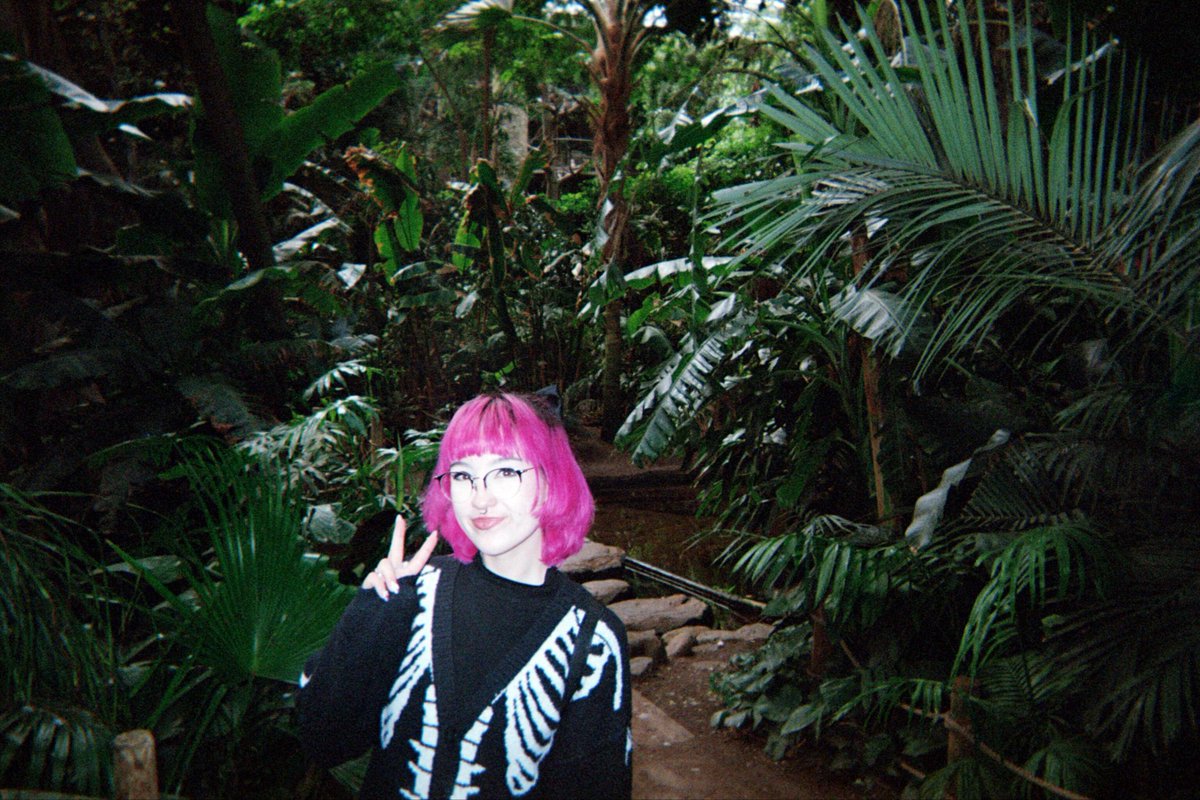 unicrnhearts's tweet photo. me in the rain forest ooooooooooooooooooooooooooOoo https://t.co/czjkVwreo5