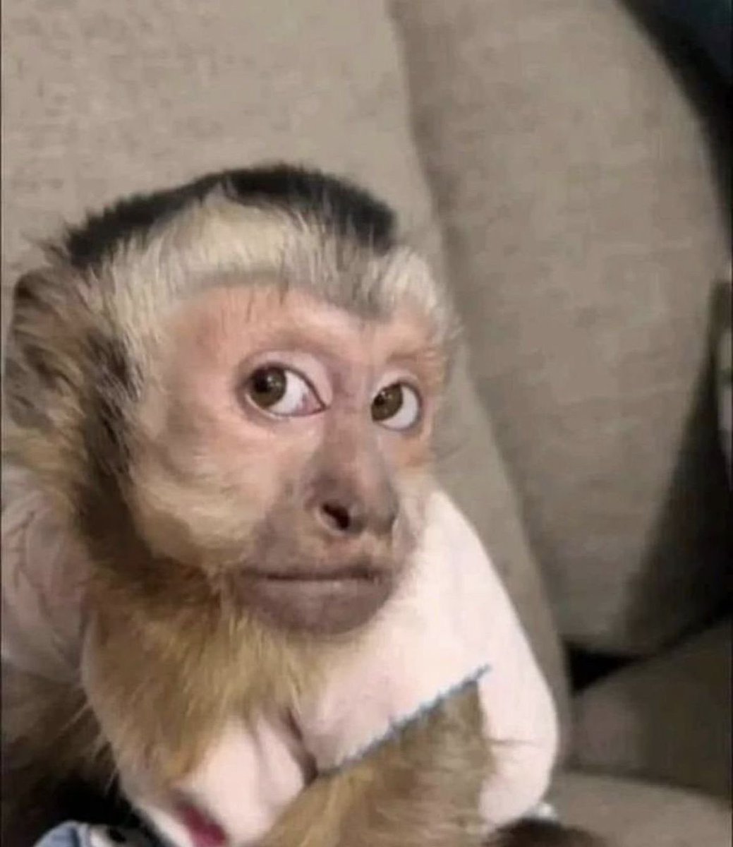 kiara ྀི VIU A SABRINA tweet media