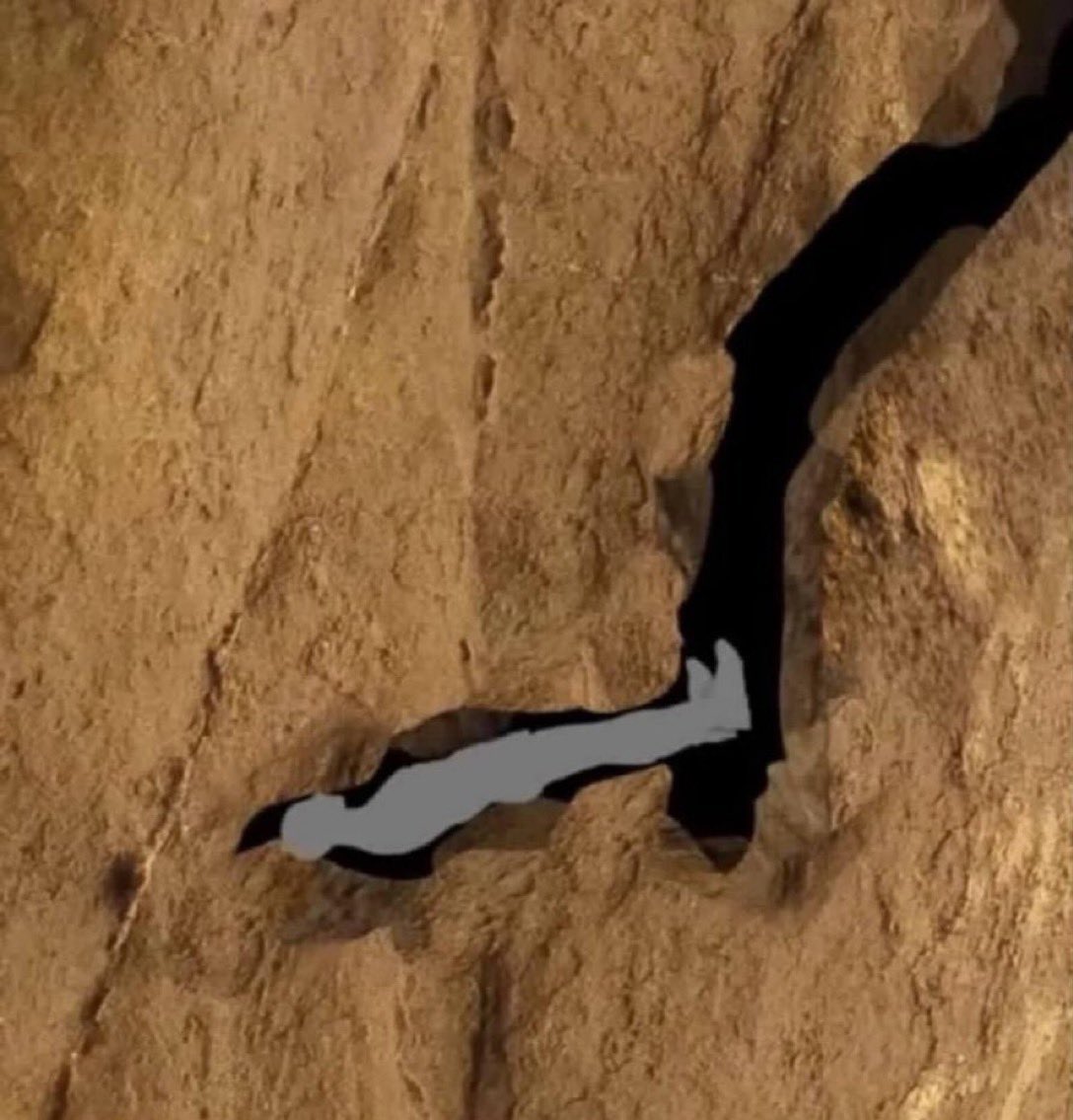 Ladrones Siendo Domad🐀s tweet media