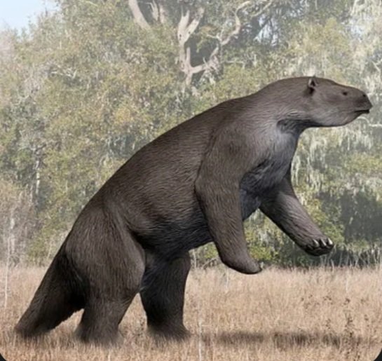 Commandante Pangolin Hugger tweet media