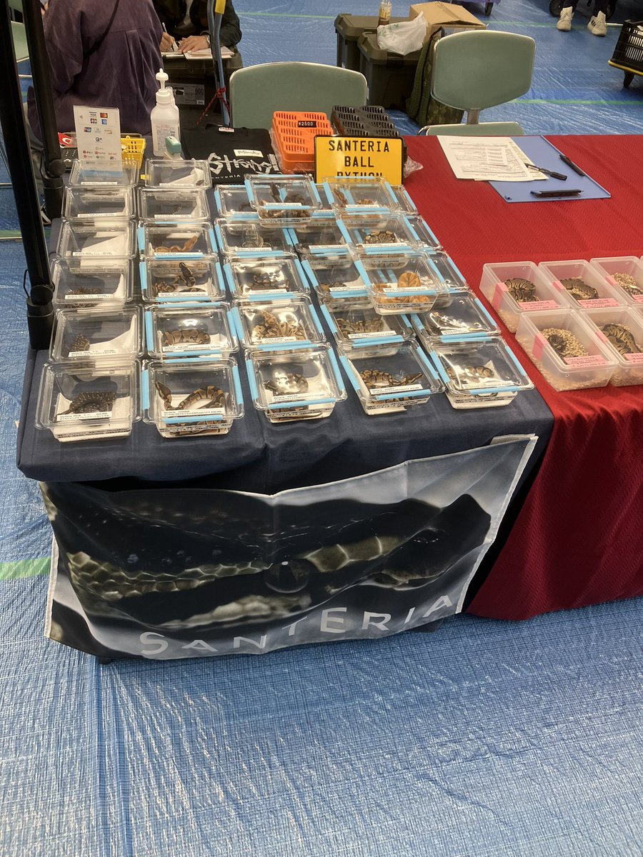 SANTERIA tweet media