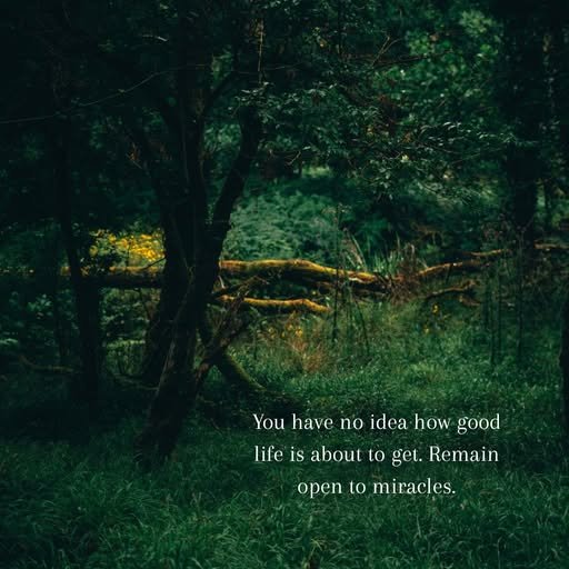 SubRosa )✿( Magick @subrosamagick.bsky.social tweet media