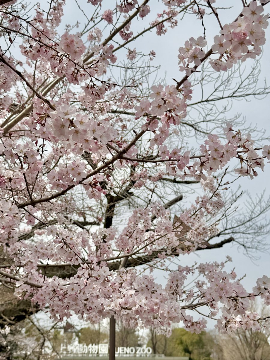 くろもん@上野御徒町 tweet media