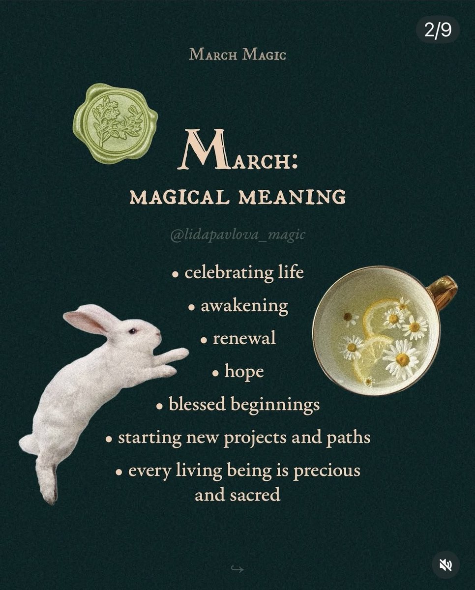 SubRosa )✿( Magick @subrosamagick.bsky.social tweet media