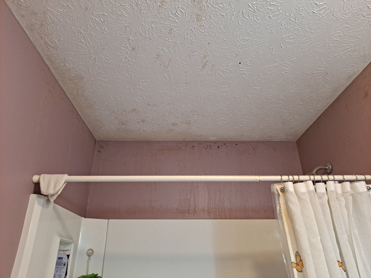 Crista 🍲❤️‍🔥 | INDY N1!! tweet media