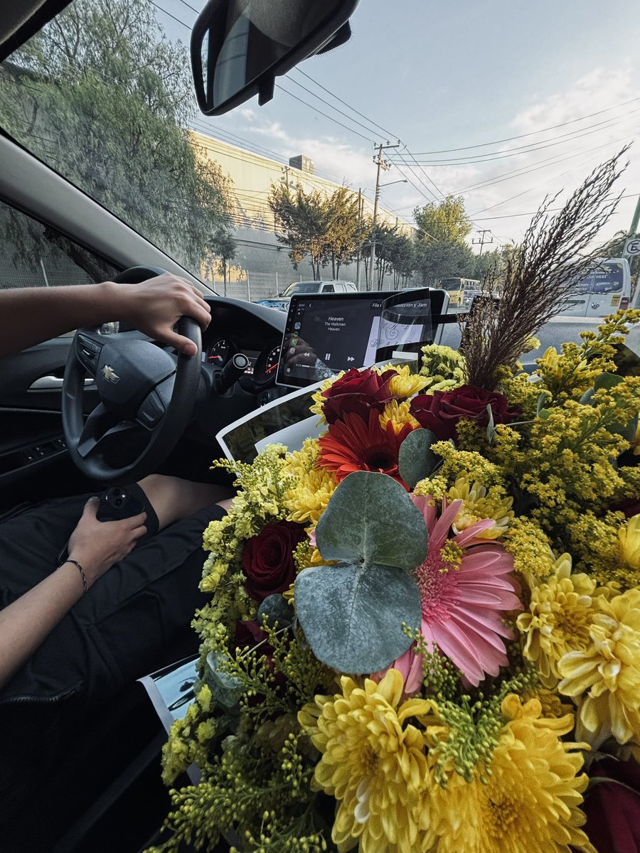 HFuangel's tweet photo. 💐 https://t.co/EPfYL6UZ9d