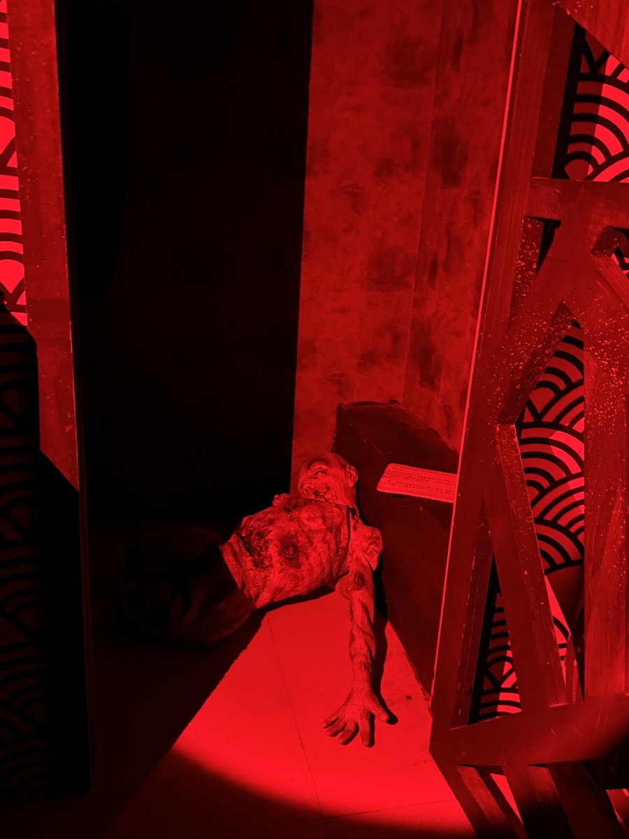 gagliardi.bruno tweet media