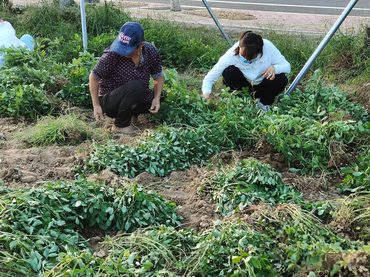Серж tweet media