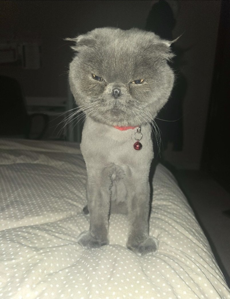 karkatlover689 tweet media