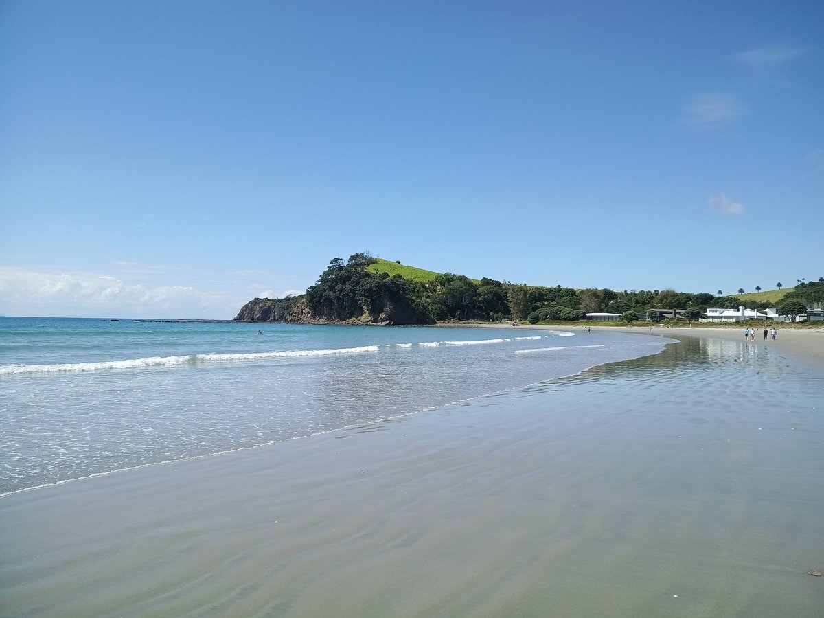 Mantis | Alex tweet media