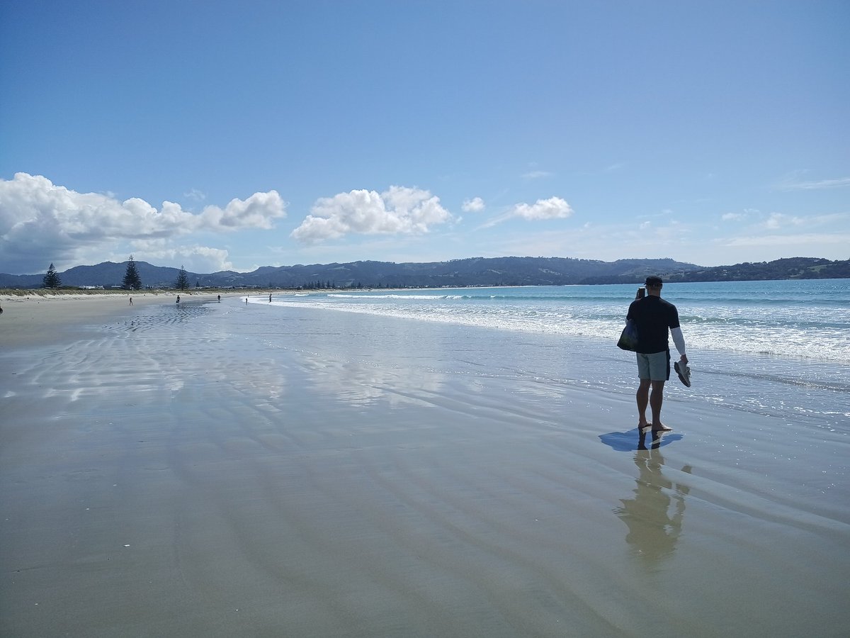 Mantis | Alex tweet media