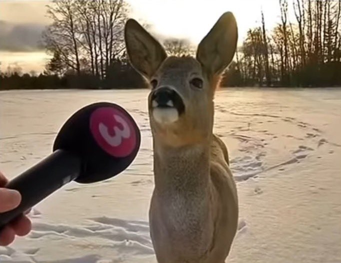 Astro Poets tweet media