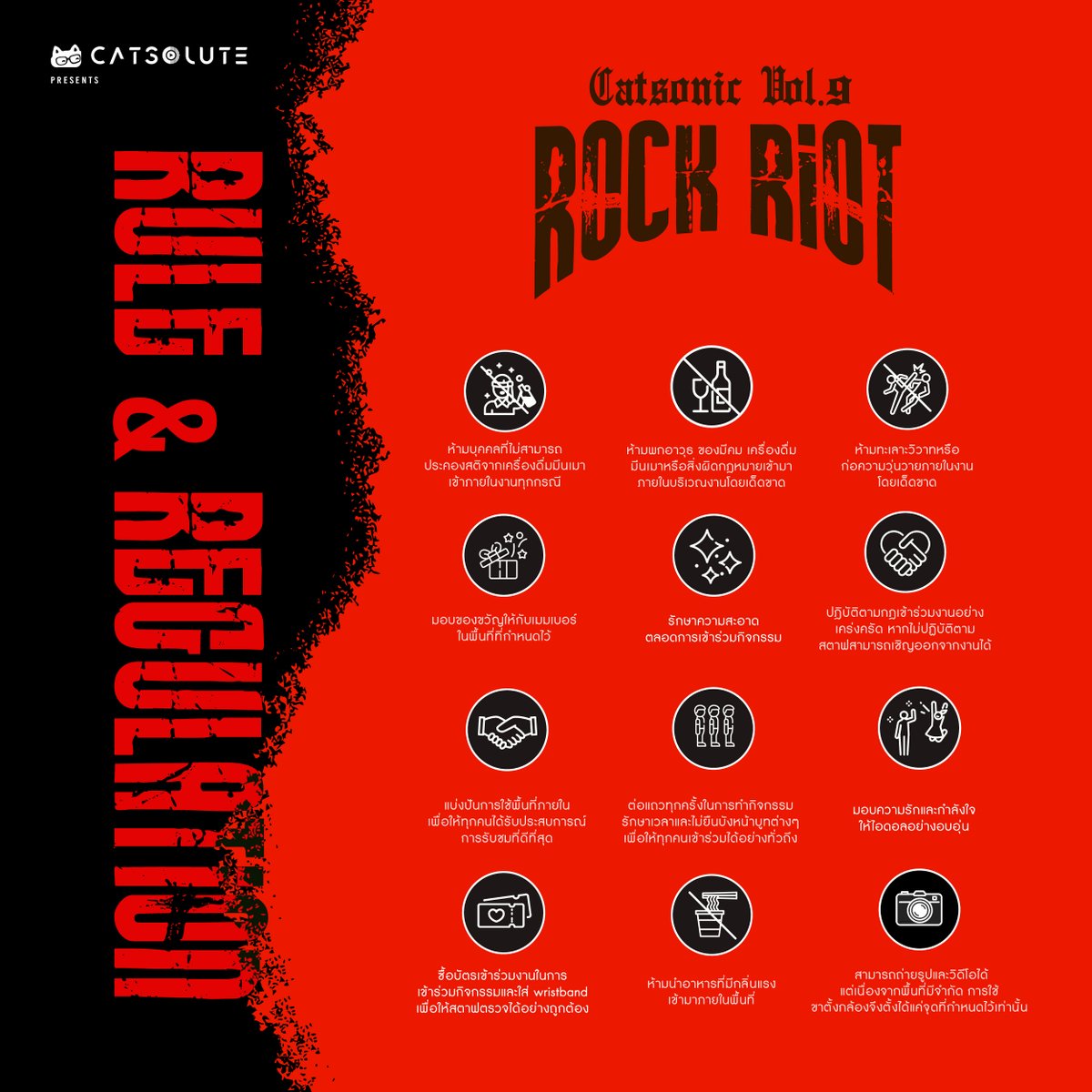 Catsolute tweet media