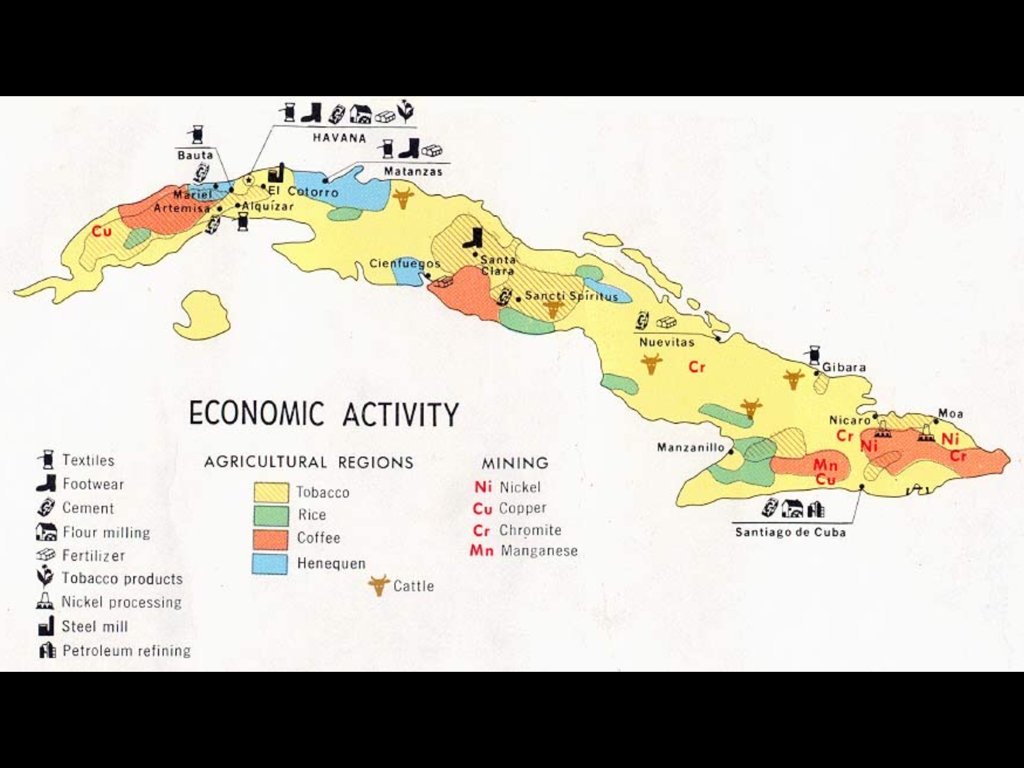 DUTCH 🔮 tweet media