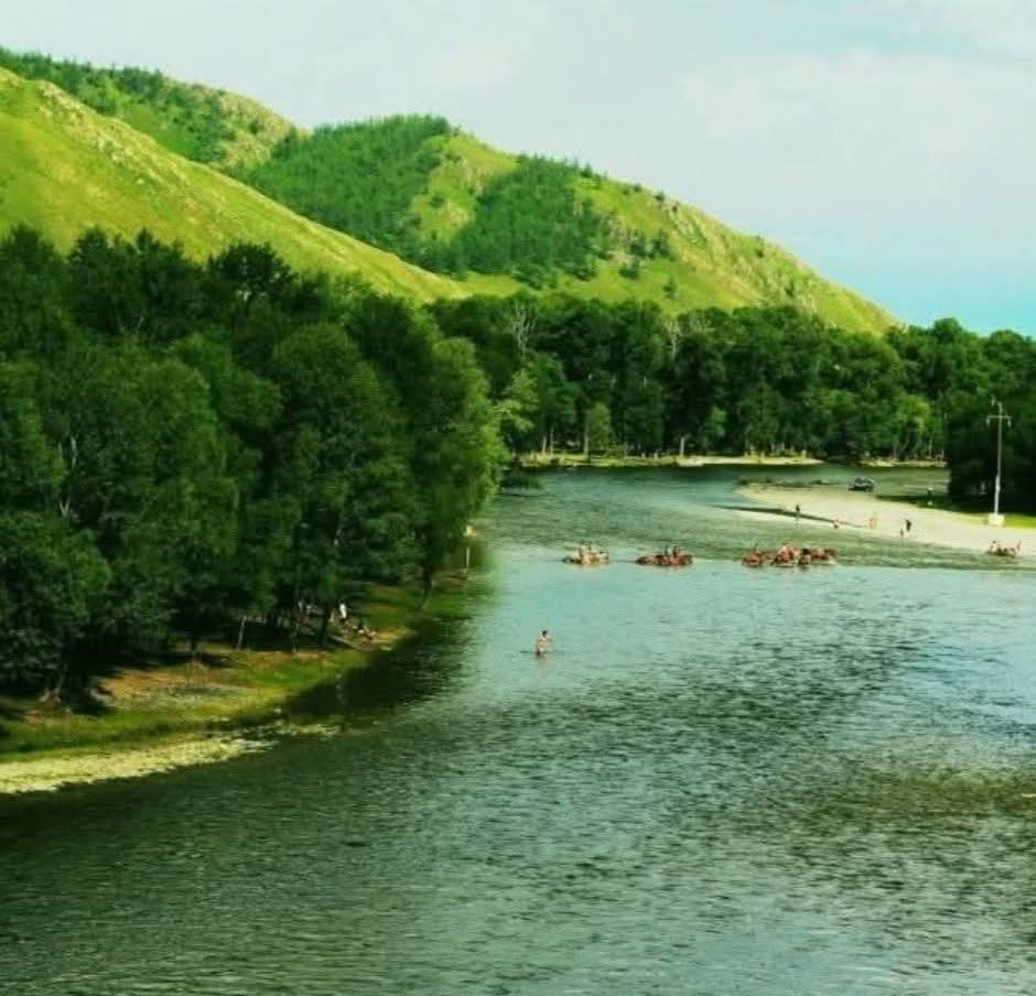 Shuudertsetseg tweet media