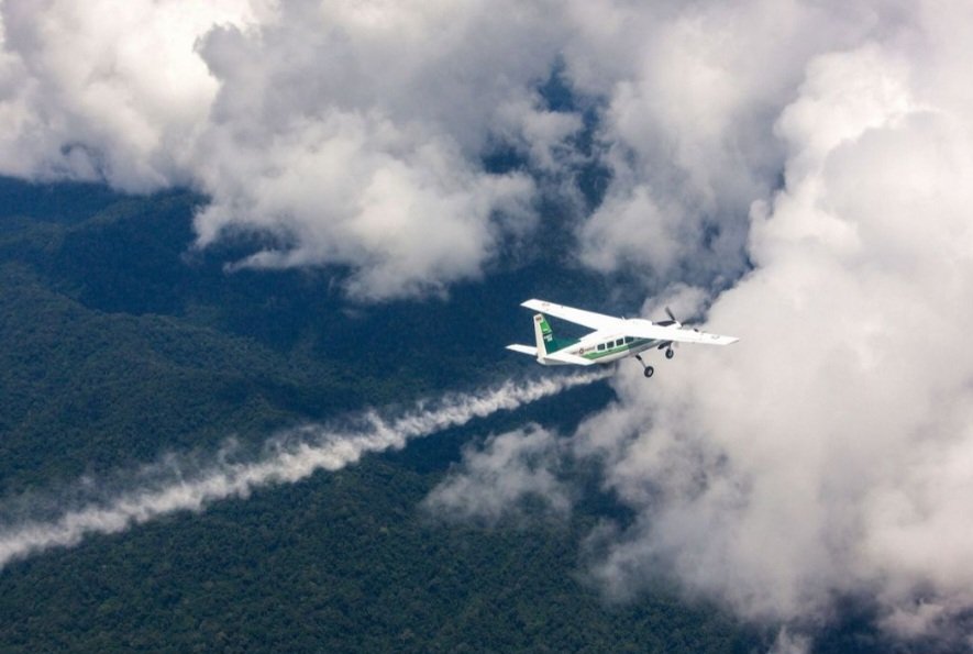 The Syncretist tweet media