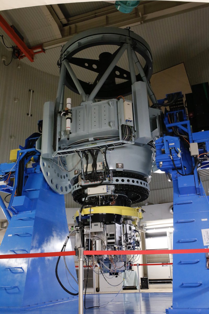 プロキオン tweet media