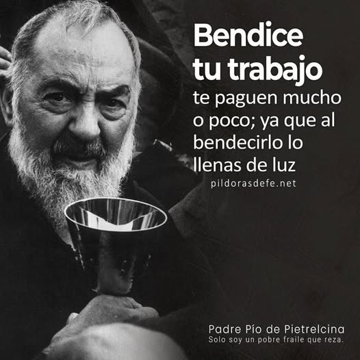 Fe Viva Católica tweet media