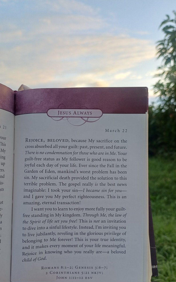 Monique van der KZN 🇿🇦 tweet media