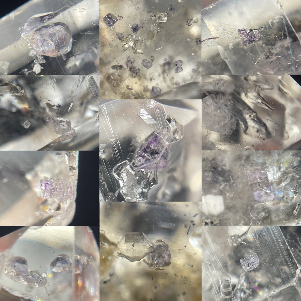 げんかつぎ川崎大師４月【新店長の部屋】 tweet media