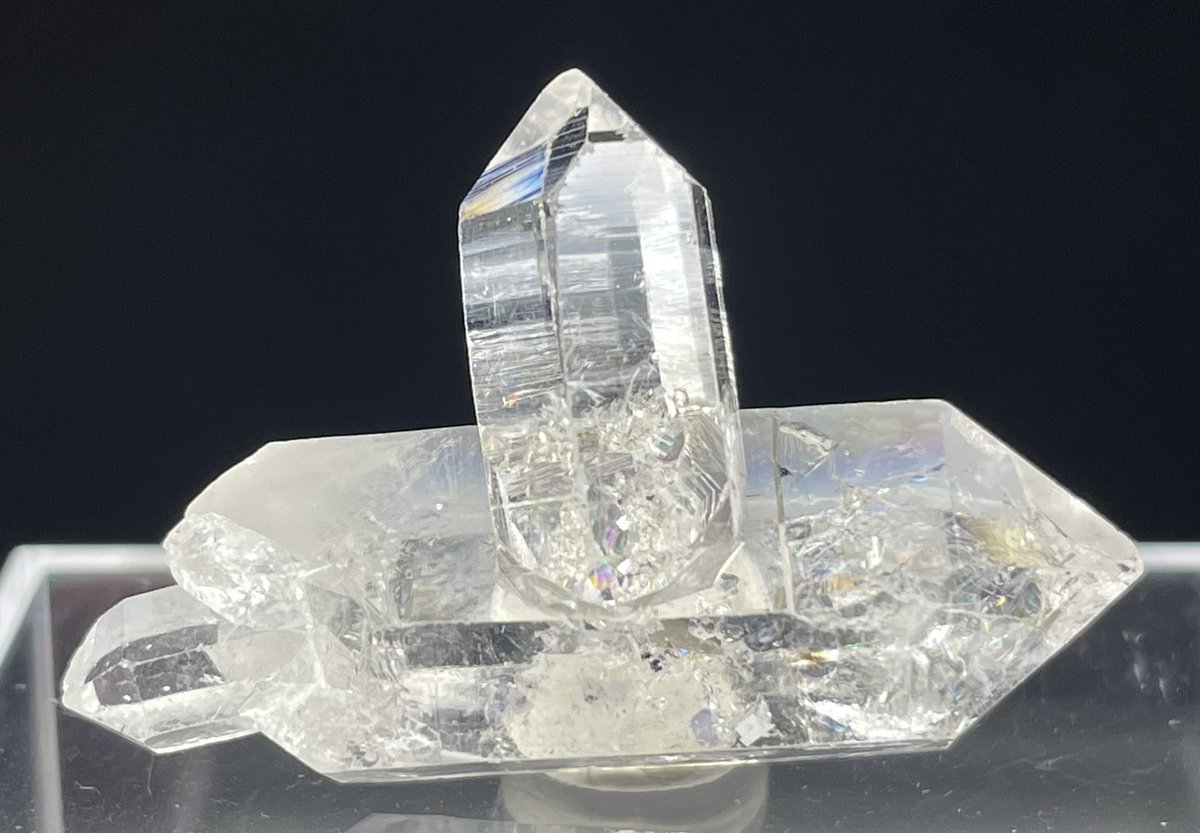 げんかつぎ川崎大師４月【新店長の部屋】 tweet media