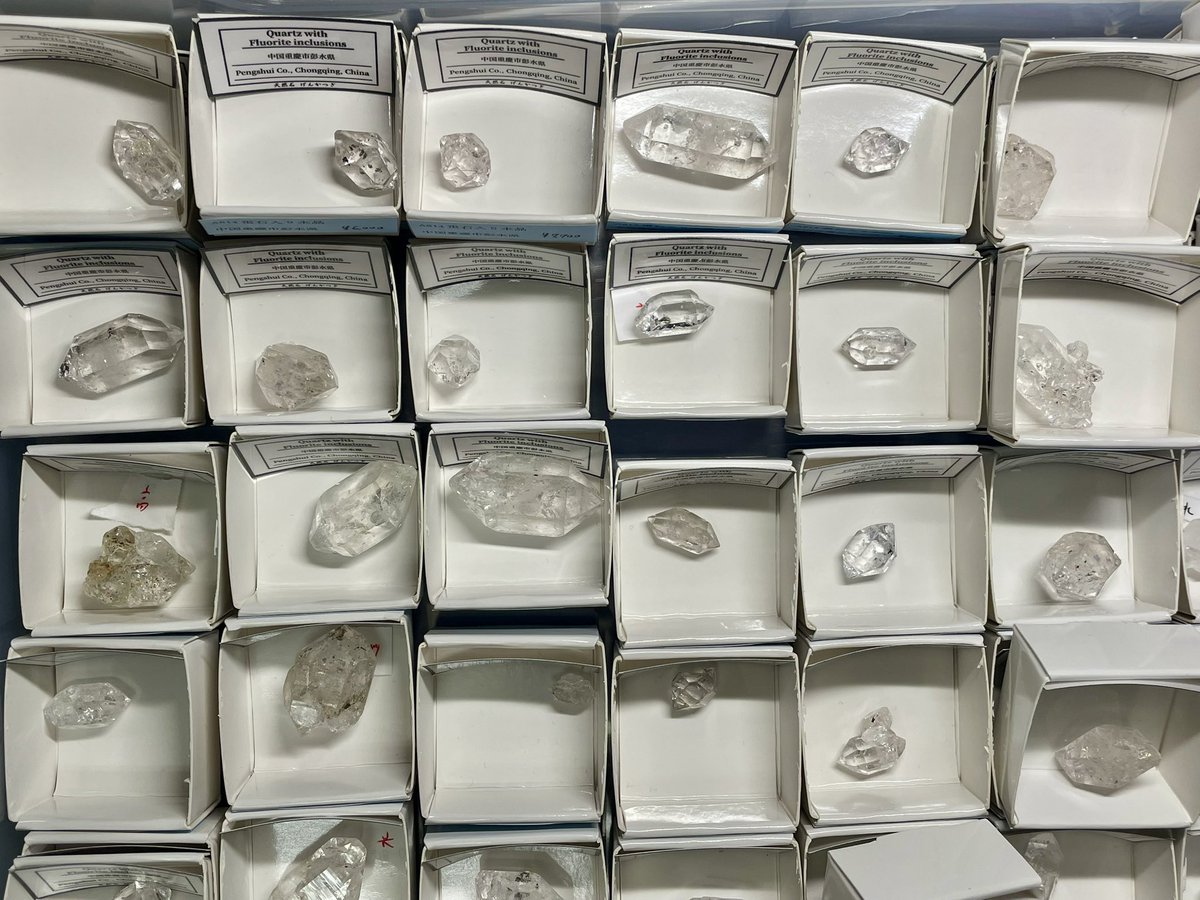 げんかつぎ川崎大師４月【新店長の部屋】 tweet media