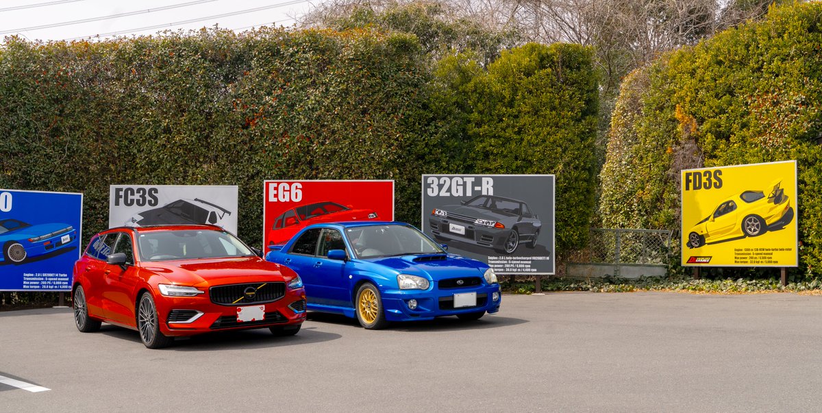 ねことおさしみ tweet media