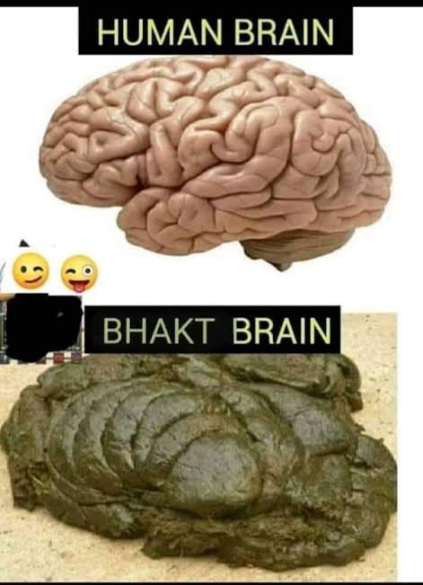 Romibuzz tweet media