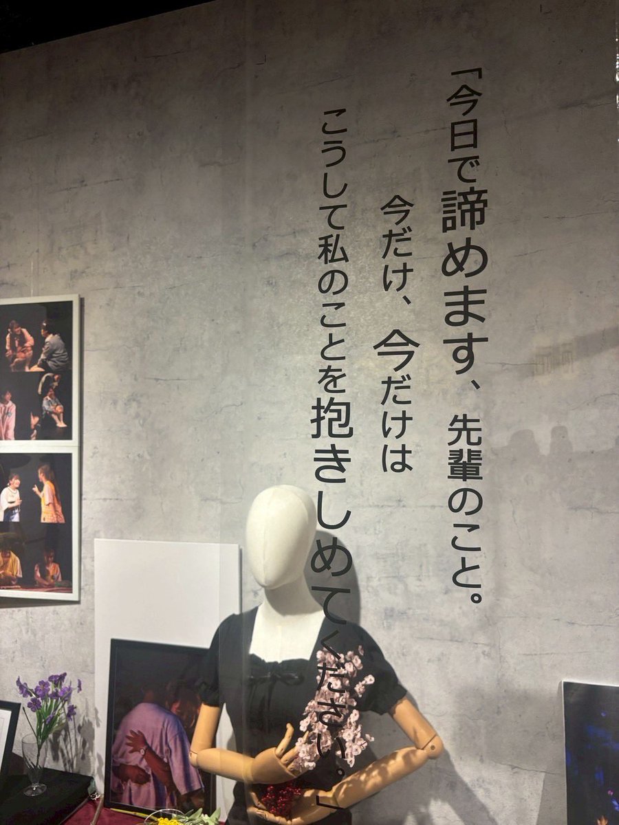 鳥と舟 / birds and boats🕊 tweet media