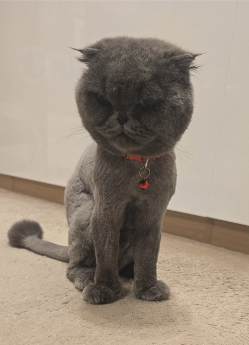 karkatlover689 tweet media