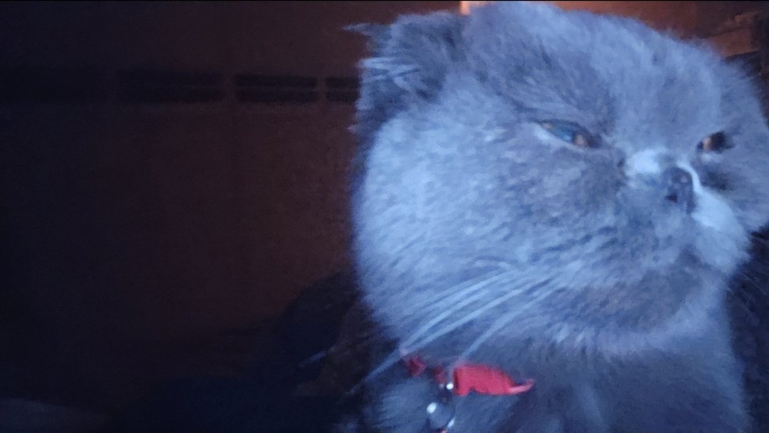 karkatlover689 tweet media