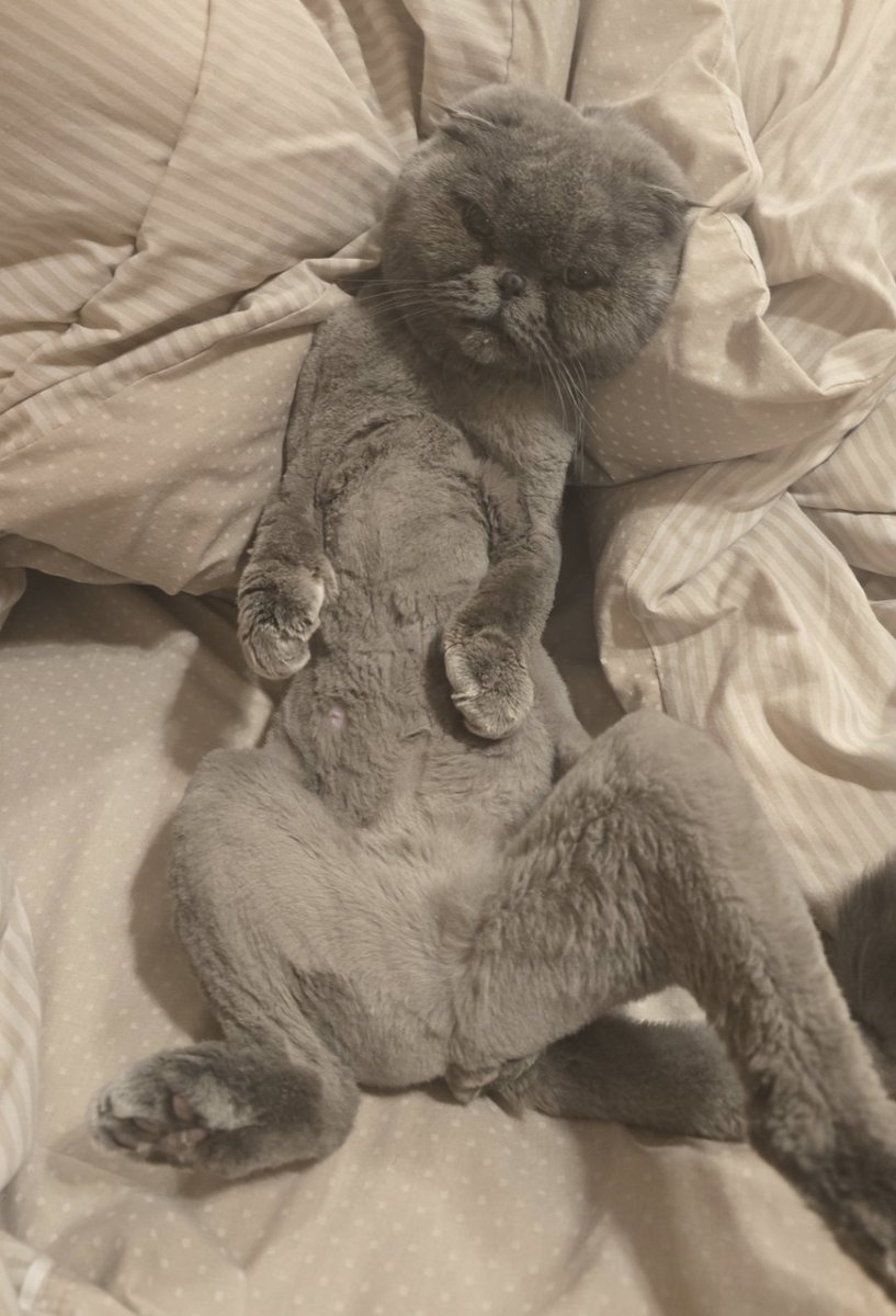 karkatlover689 tweet media