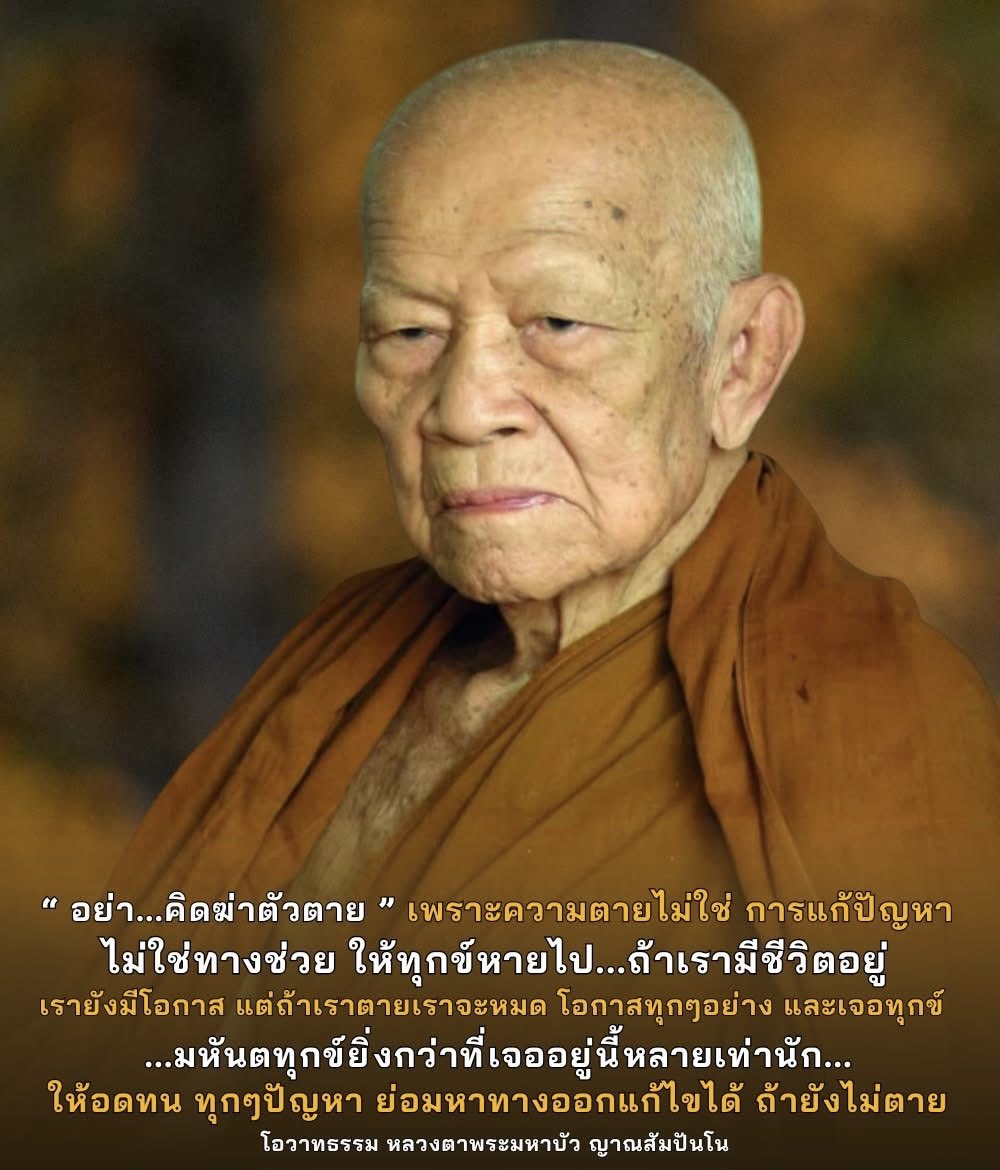 🇹🇭Bossanova🇹🇭 tweet media