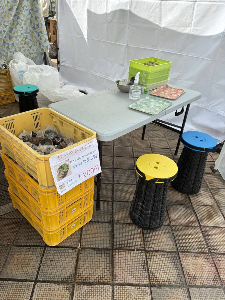 isaポタ tweet media