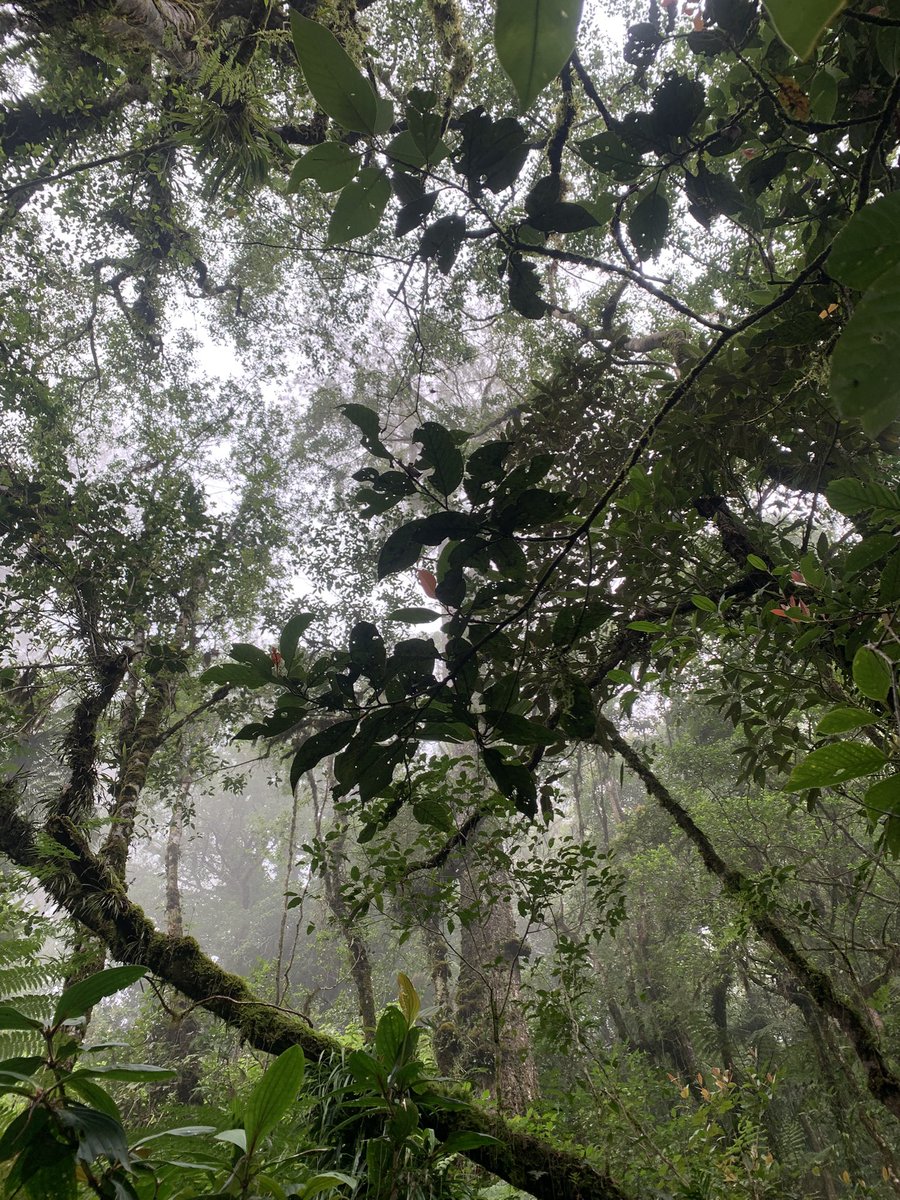 acengg✨ tweet media