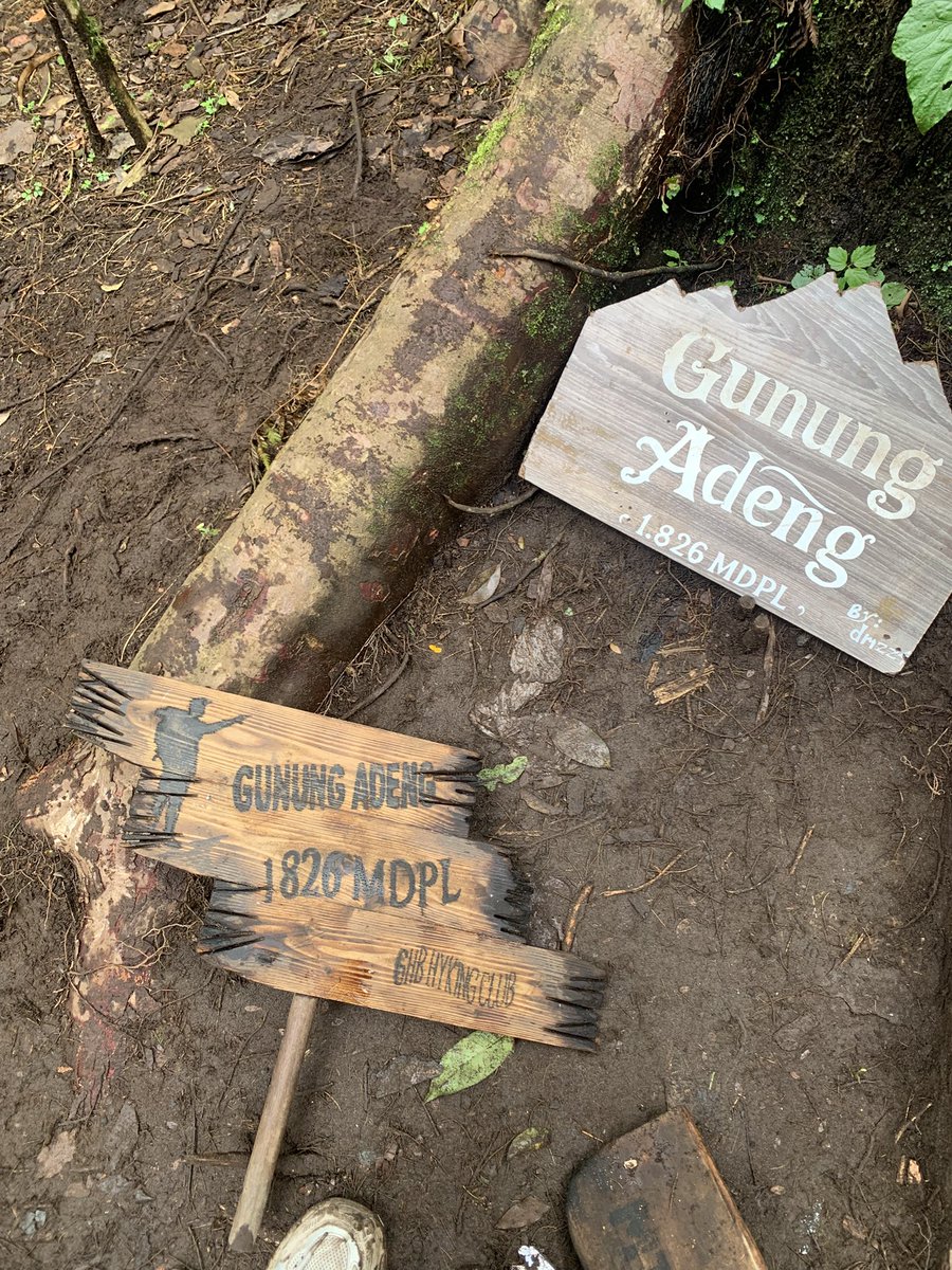 acengg✨ tweet media