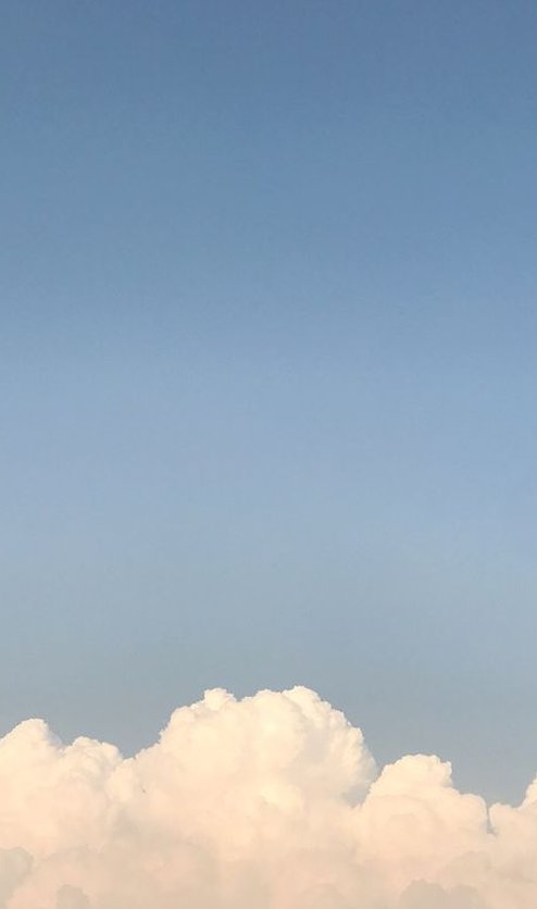 あんな🎏 tweet media