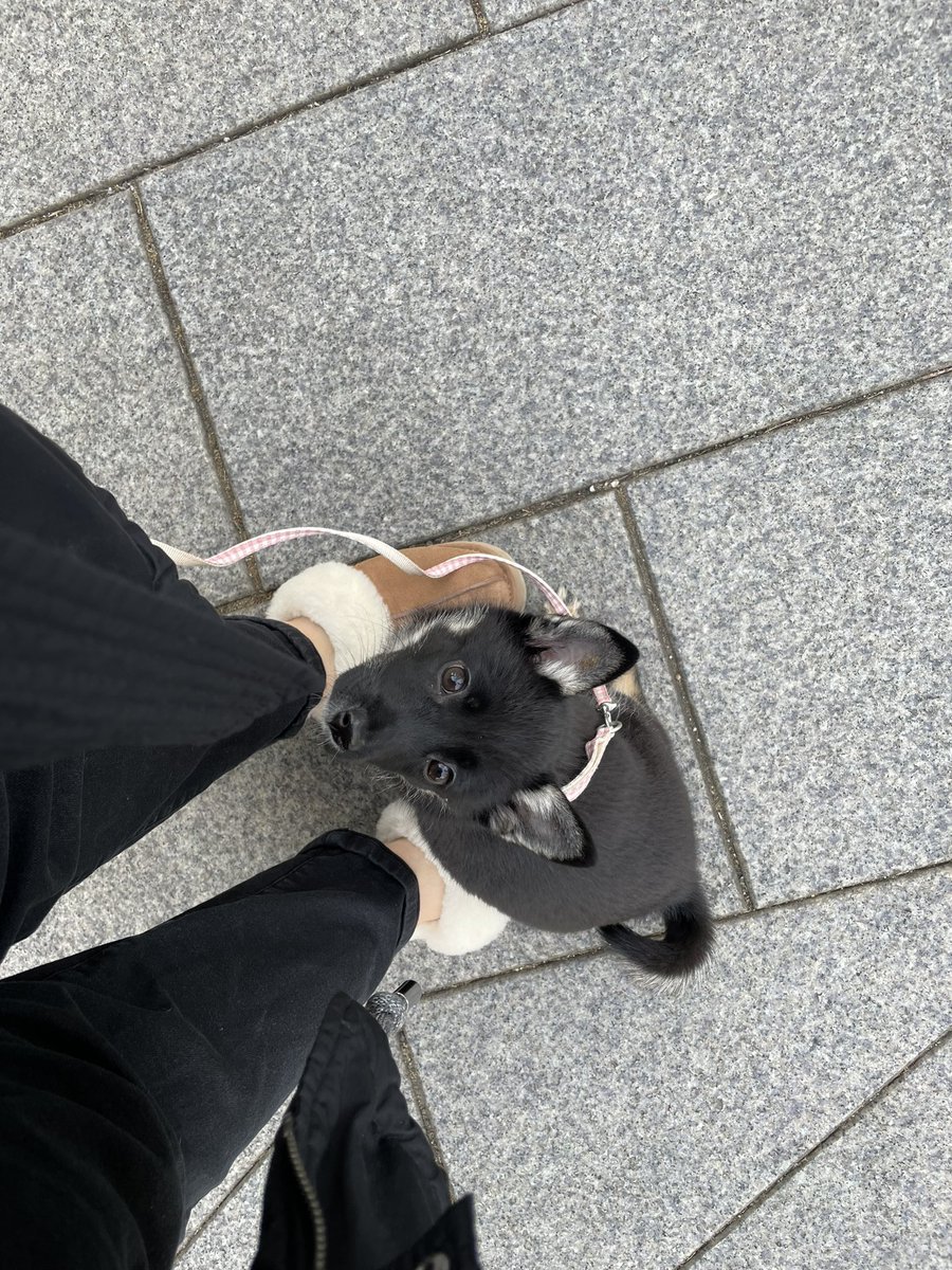 🧁머핀 가게🧁집요정 tweet media