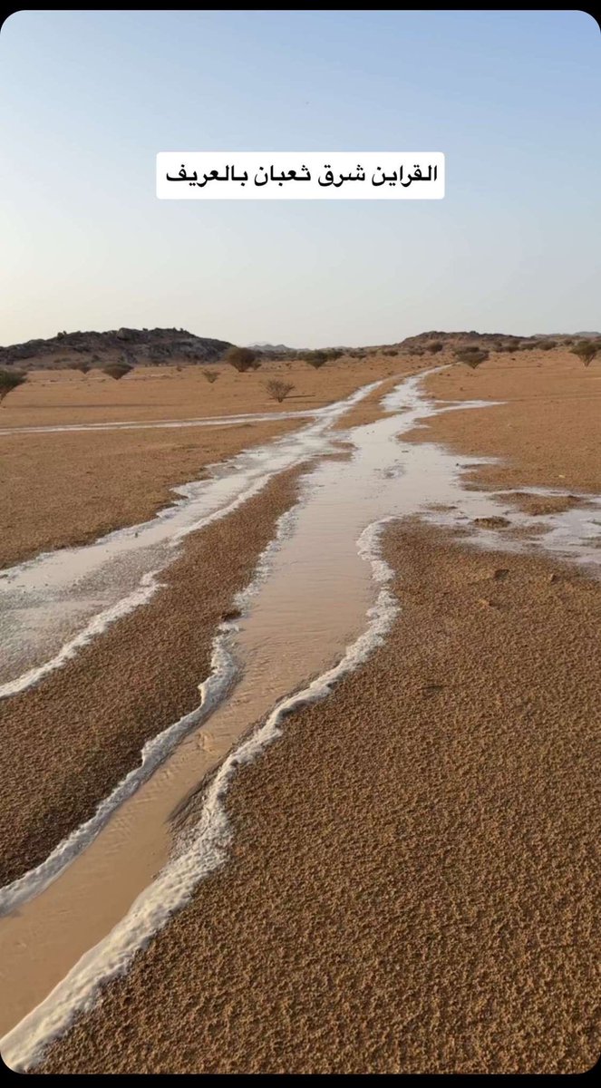 عسّاس العصيمي📷⛈. tweet media