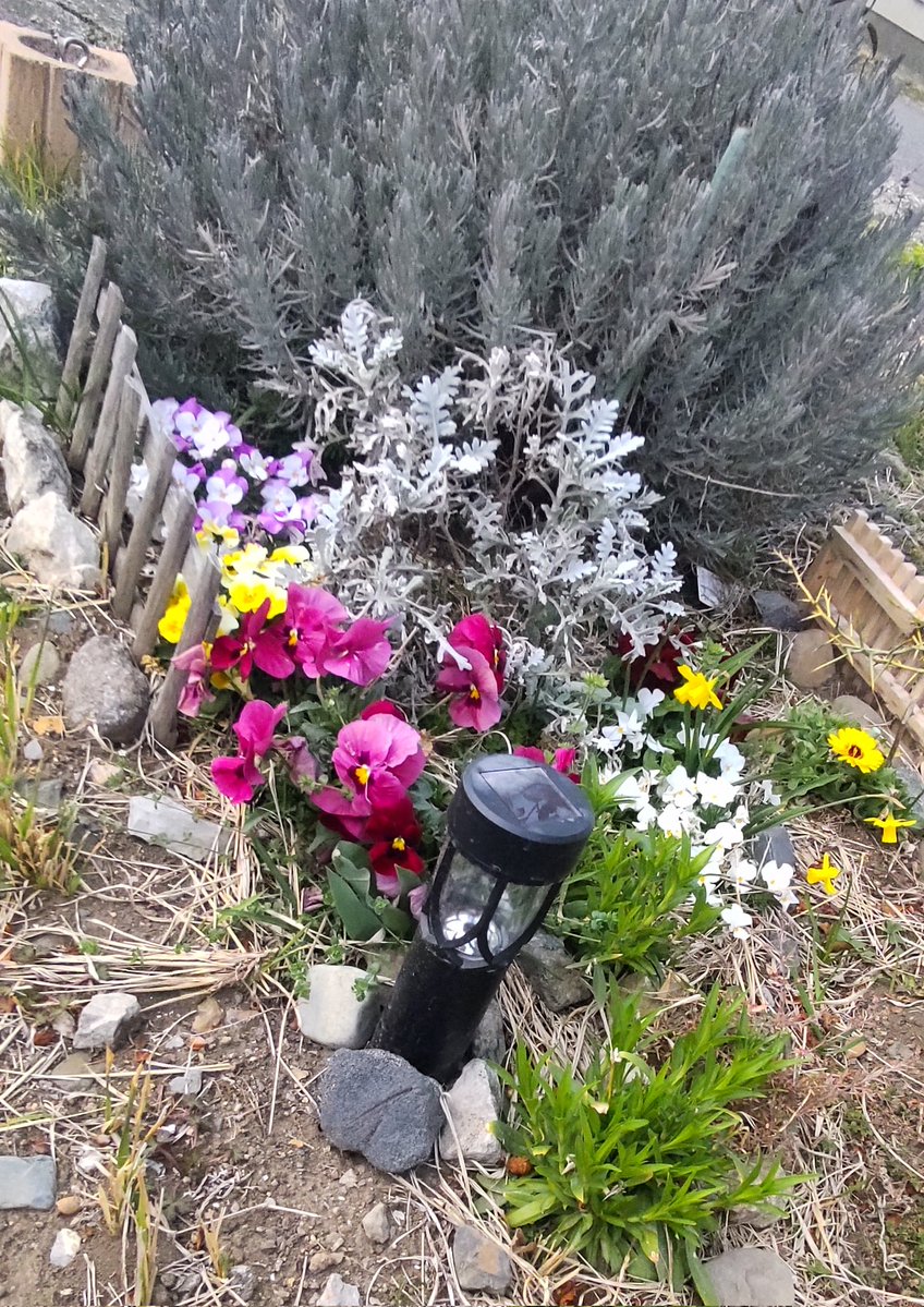 しーちゃん tweet media