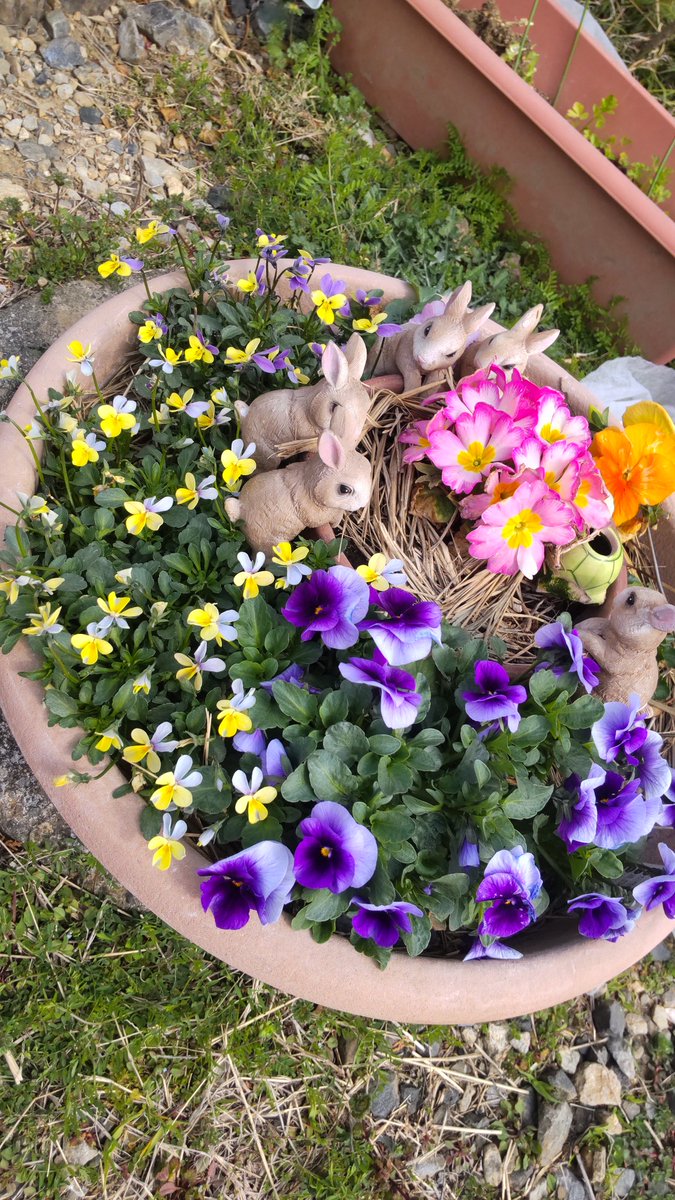 しーちゃん tweet media