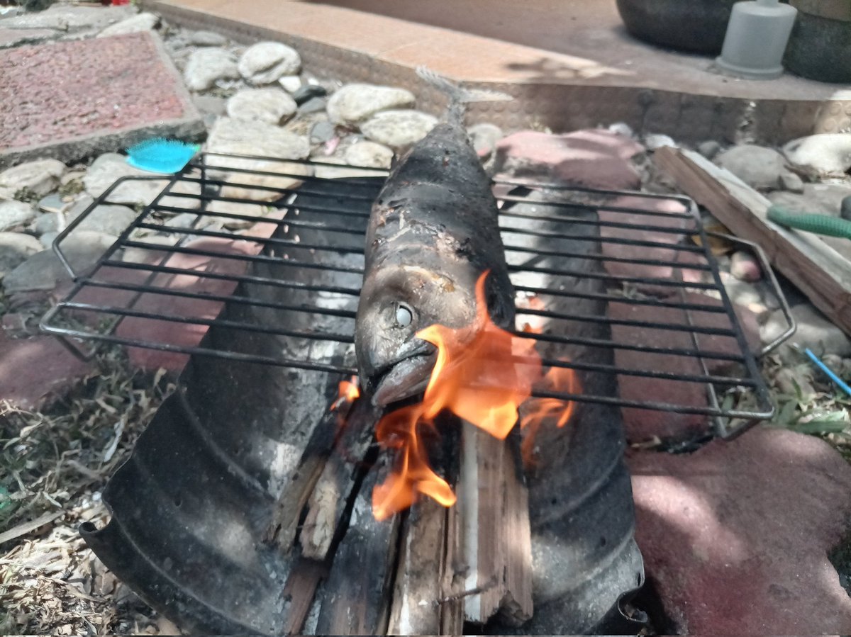 𝕮𝖔𝖗𝖛𝖚𝖘 𝕮𝖗𝖔𝖜 𝖈𝖍. (Driving school arc) tweet media